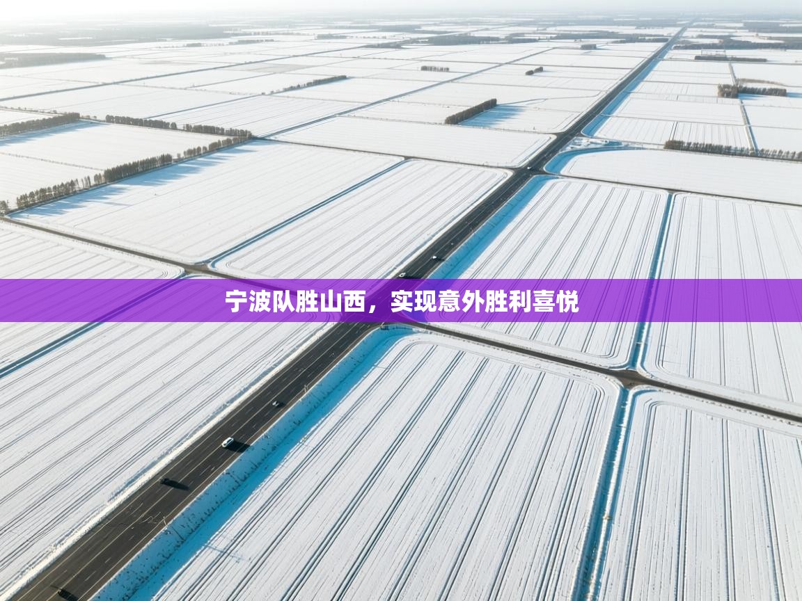 宁波队胜山西，实现意外胜利喜悦  第1张