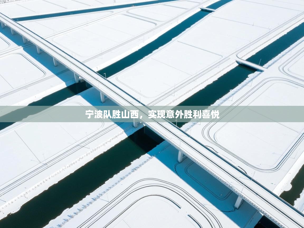 宁波队胜山西，实现意外胜利喜悦  第2张