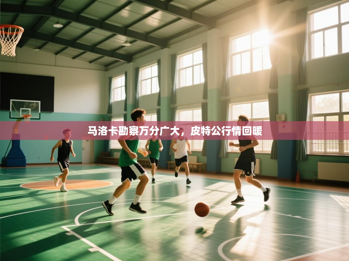 马洛卡勘察万分广大,皮特公行情回暖 第1张