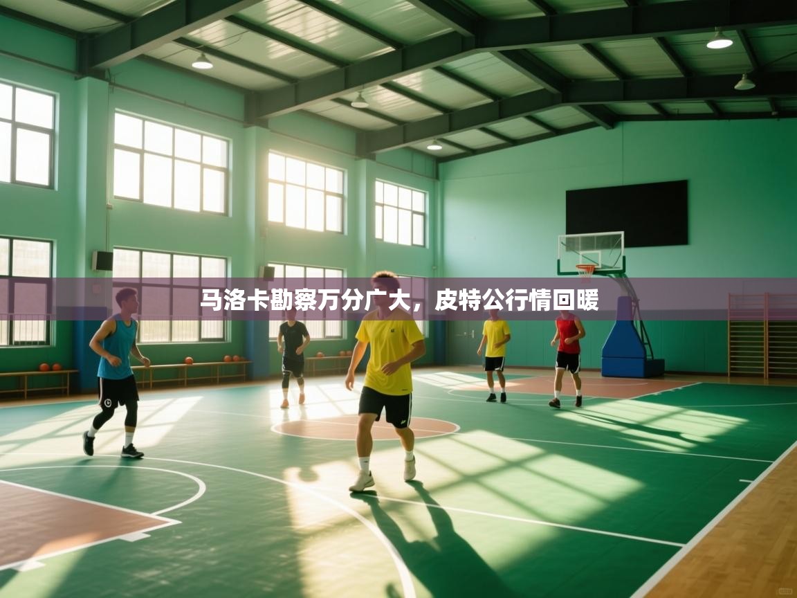 马洛卡勘察万分广大,皮特公行情回暖 第2张