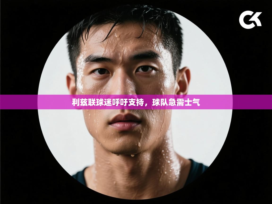 利兹联球迷呼吁支持，球队急需士气  第2张